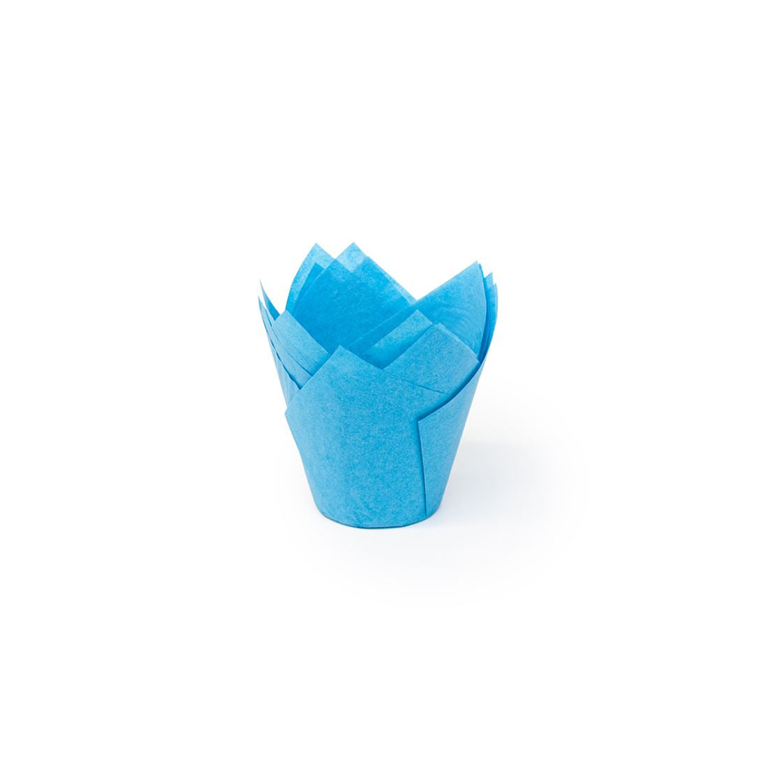 Tulipan Niebieski 160/50 (716050PBL)/2400