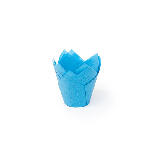 Tulipan Niebieski 160/50 (716050PBL)/2400