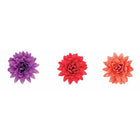 b2162d617180c54dd905d81672ef2fa0