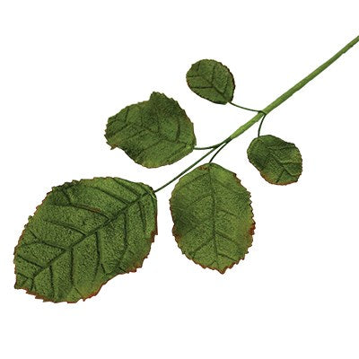 KATER RÓŻANE LIŚCIE W ZESTAWIE 3szt