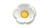 2d4860c377c44b3c13d14be78ed0dfbd