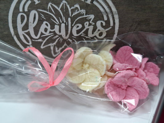 985b6ea7c3c4ff2d98d1fbbceec7a3b8