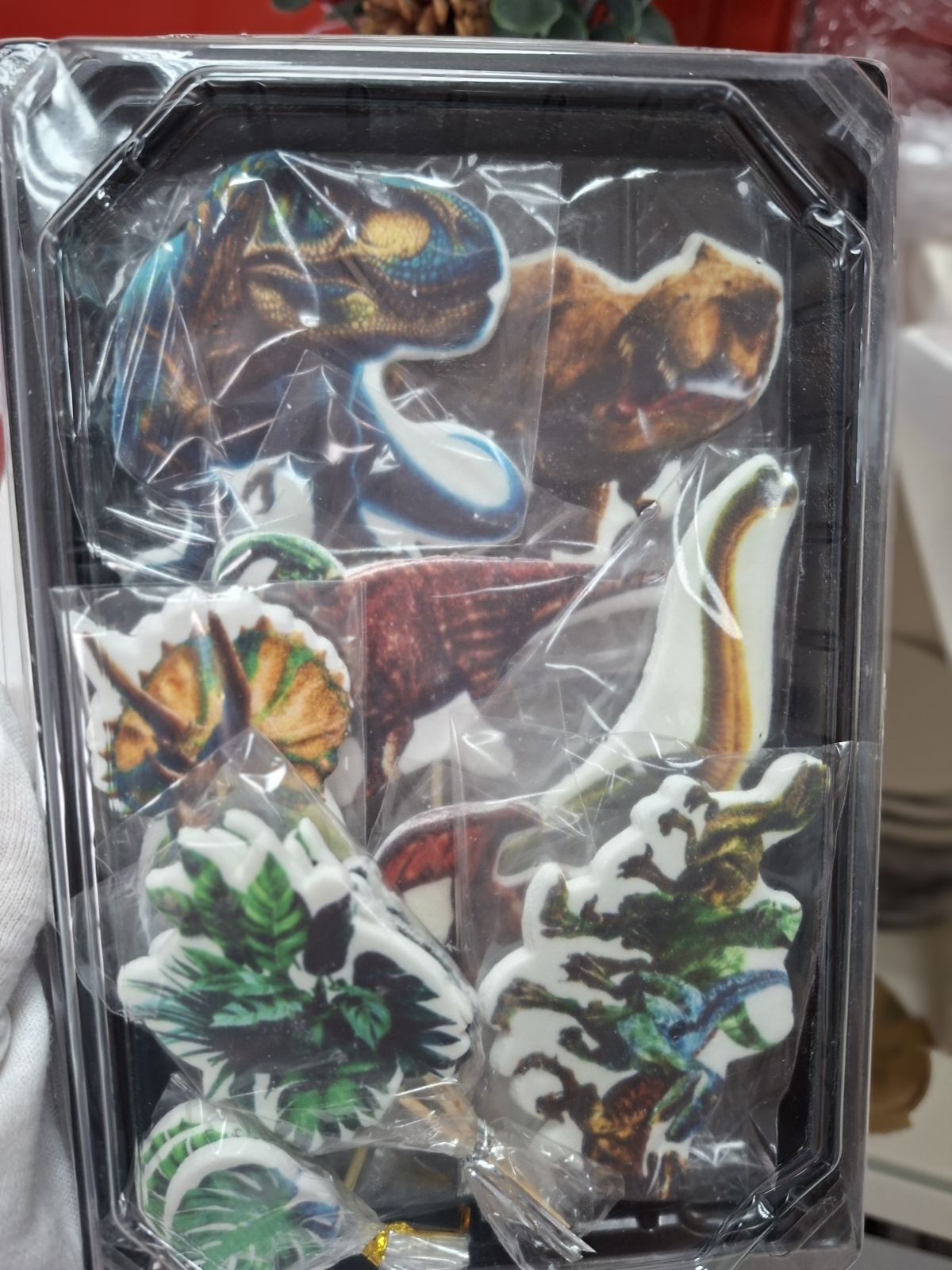 019605bac63fd45d290a4eeb85083ede