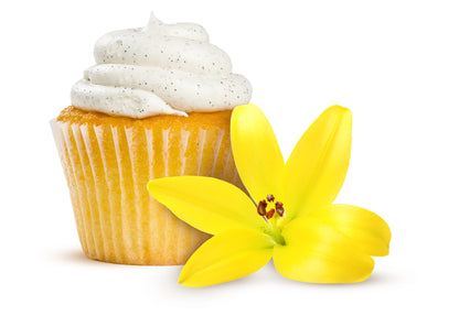 Pasta z ekstraktem waniliowym 50 g MODECOR